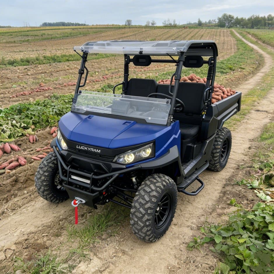 73.6V 4WD UTV 10kw AC мотор EPS кормилно управление 150ah батерия